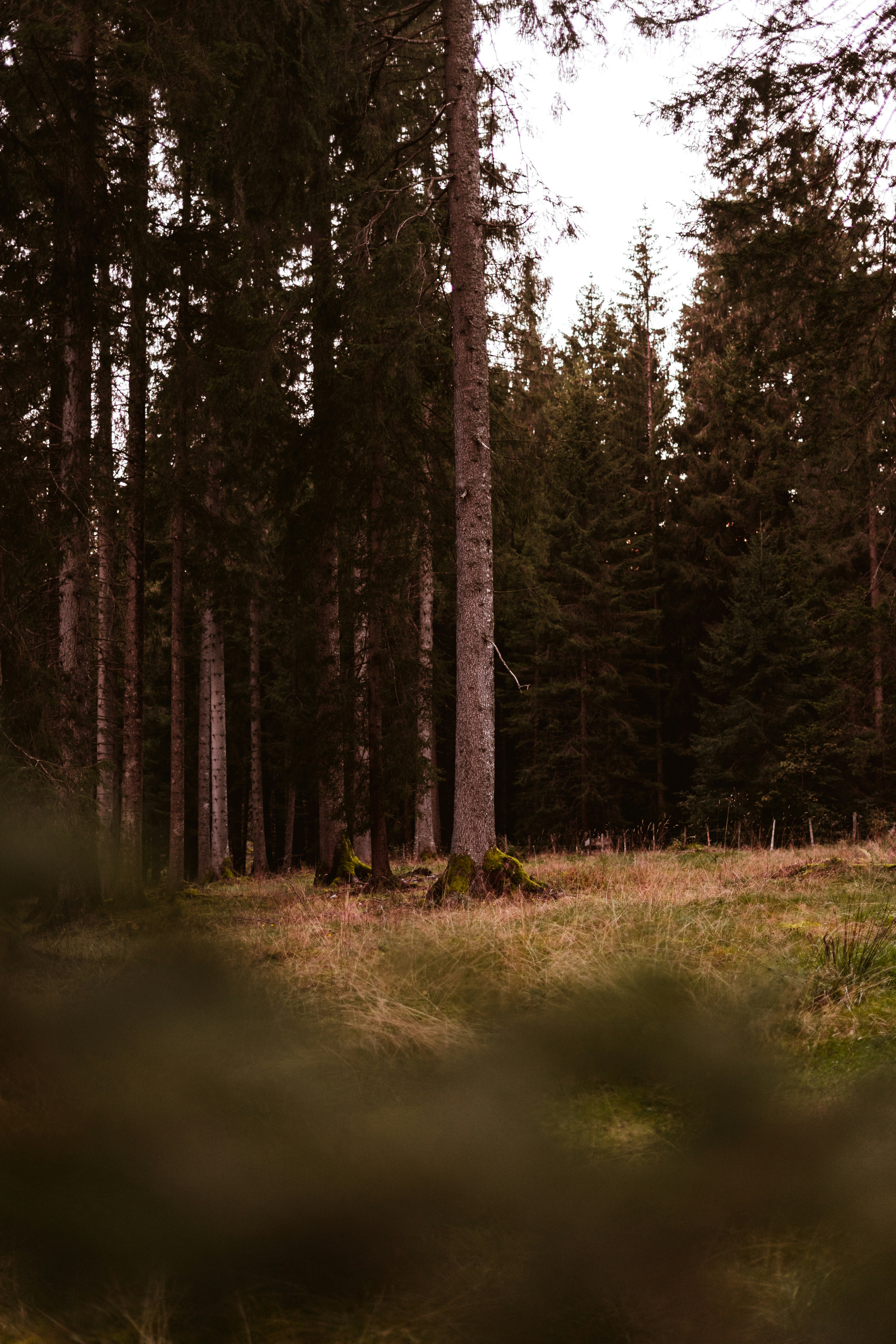 Photo by virussinside