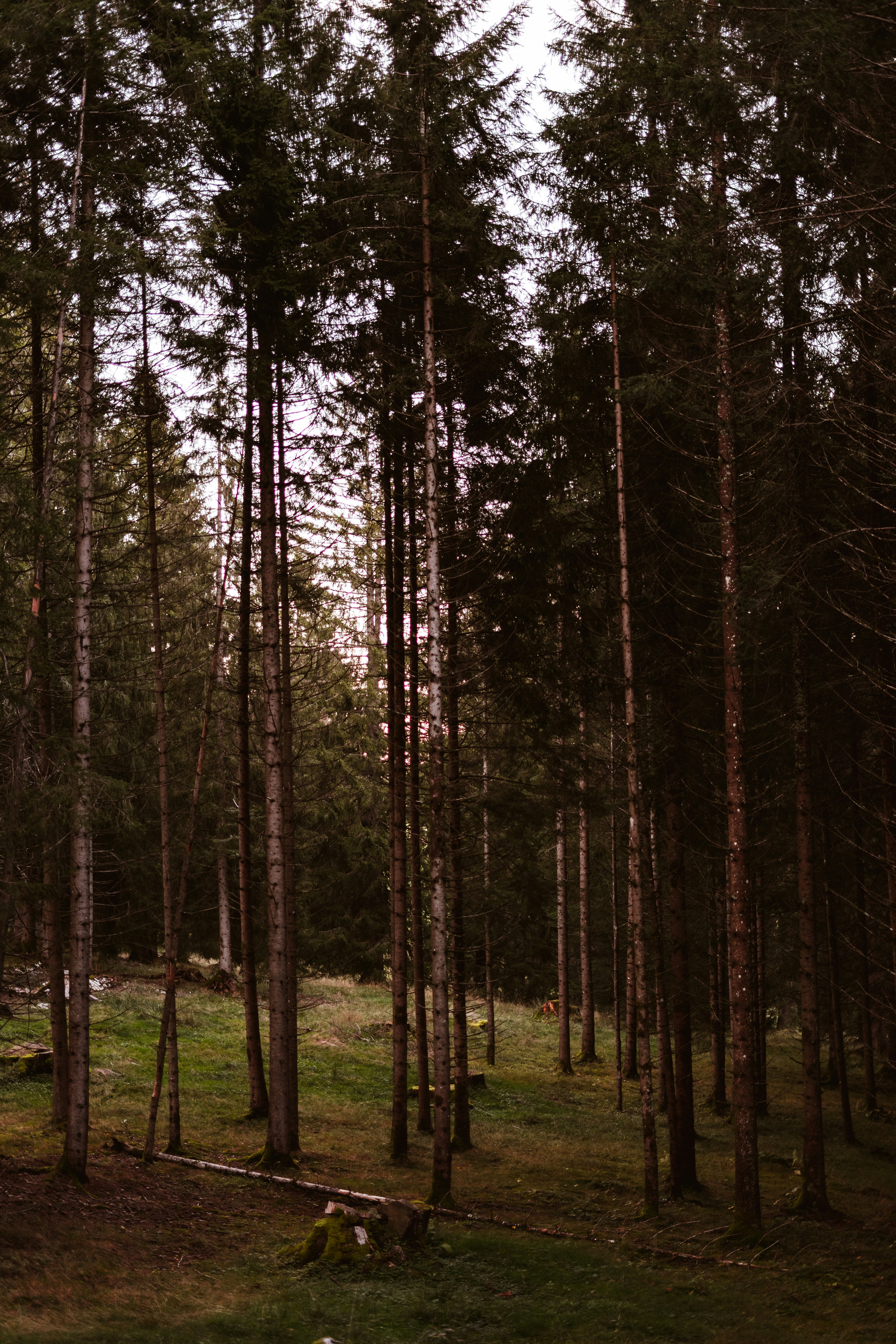 Photo by virussinside