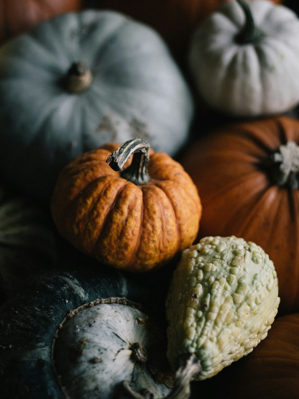 orange and green pumpkin on black wooden round table