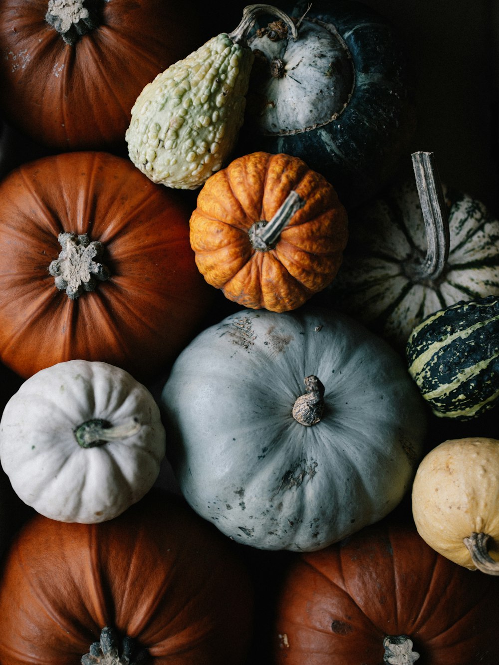 a bunch of pumpkins sitting on top of each other