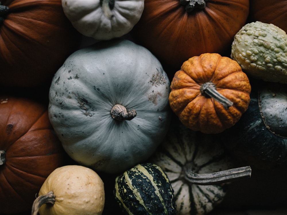 white and orange pumpkin on brown wooden table