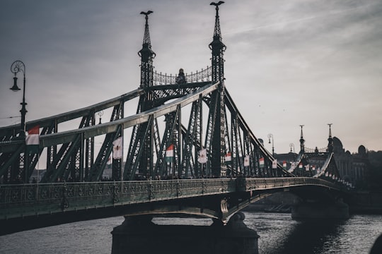 gray scale photo of bridge in Liberty Bridge Hungary