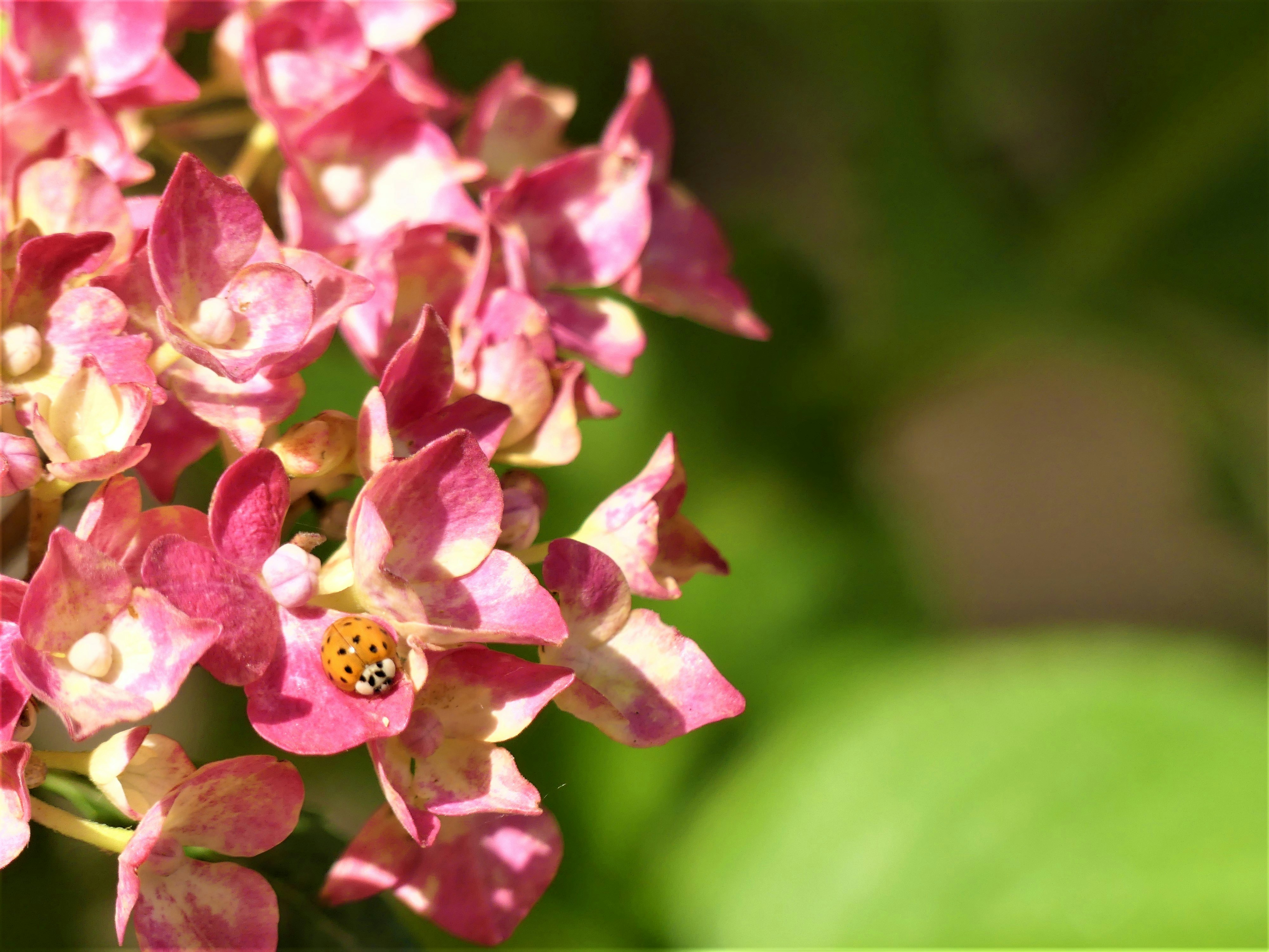 Photo by chignonchic