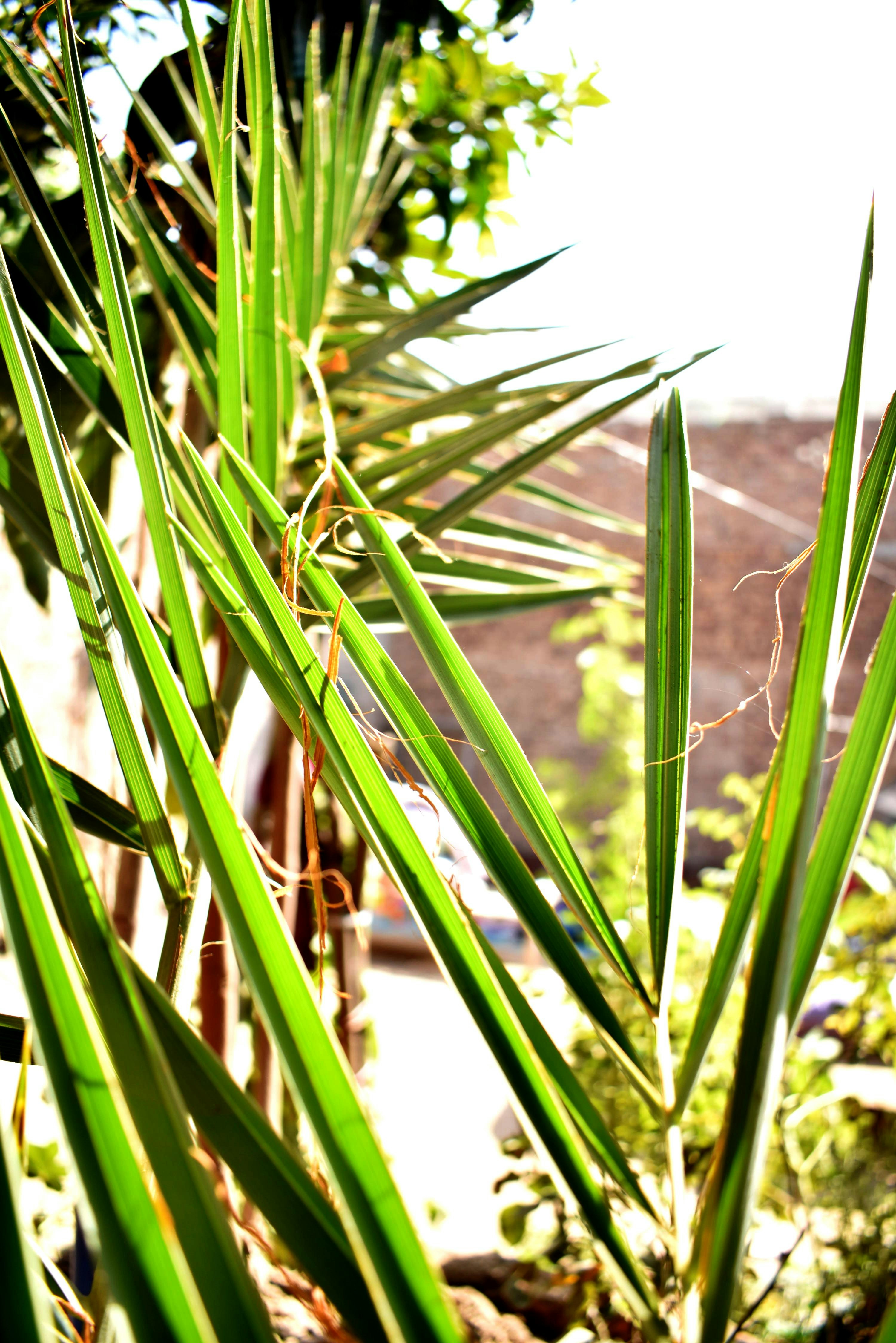 Photo by maryambatool