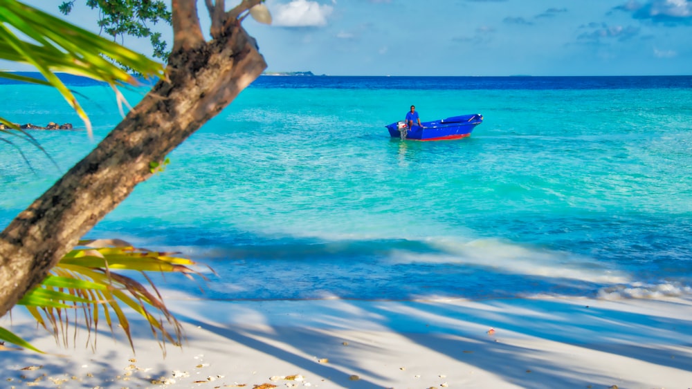 red boat on beach during daytime