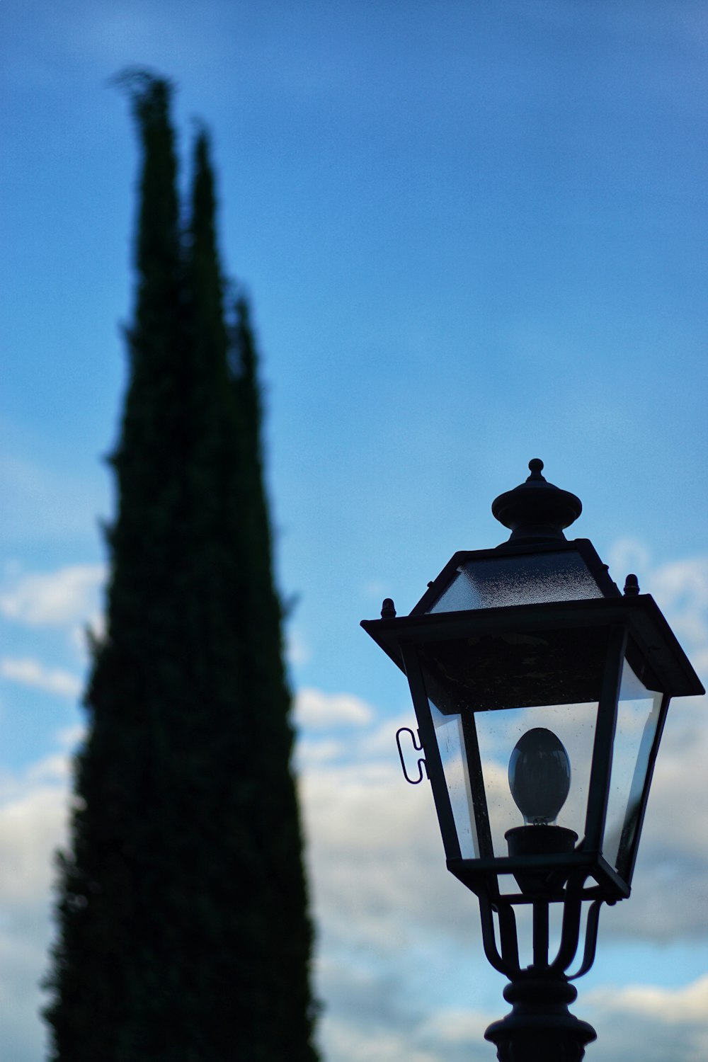 black lantern hanging on tree during daytime