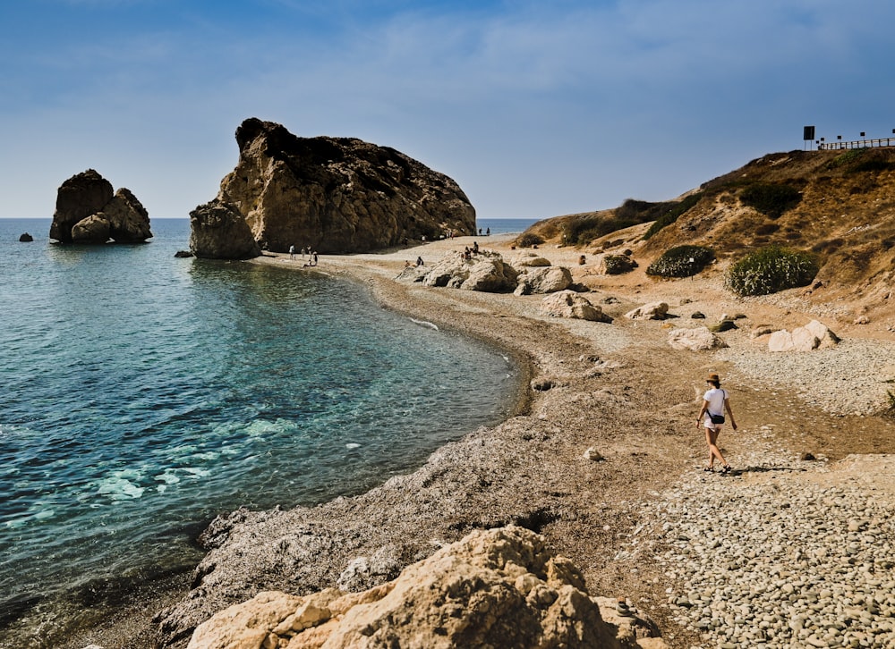 people walking on beach shore during daytime