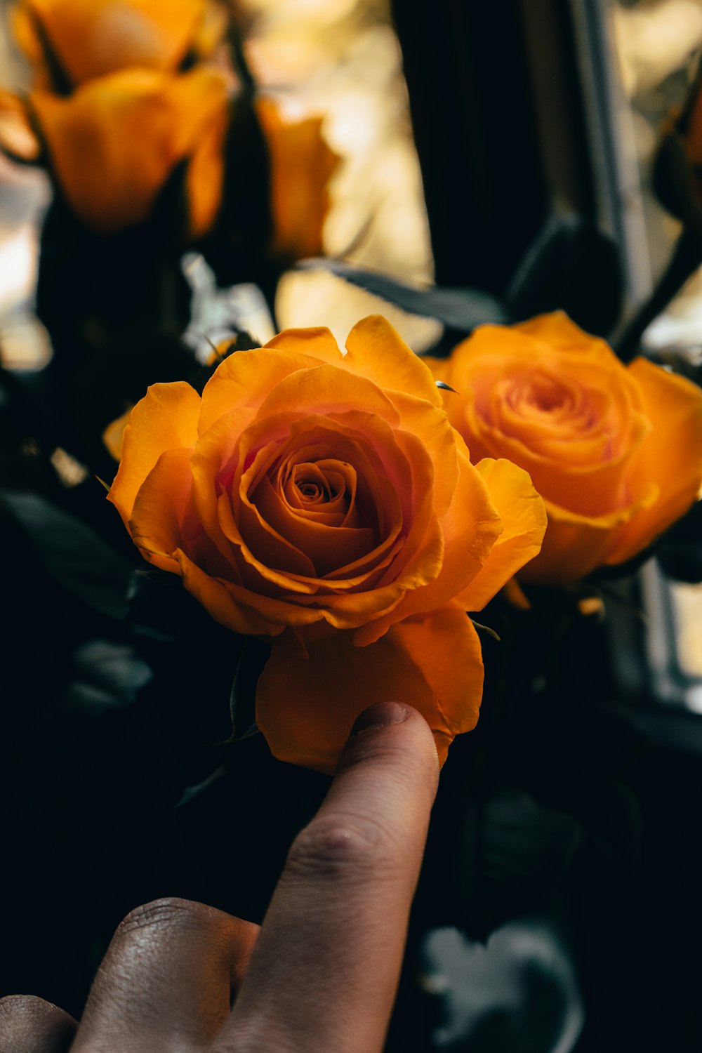 person holding orange rose in close up photography