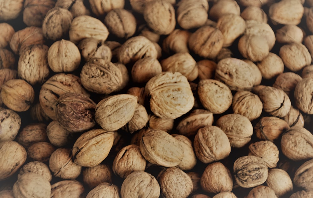 클로즈업 사진의 갈색 커피 콩