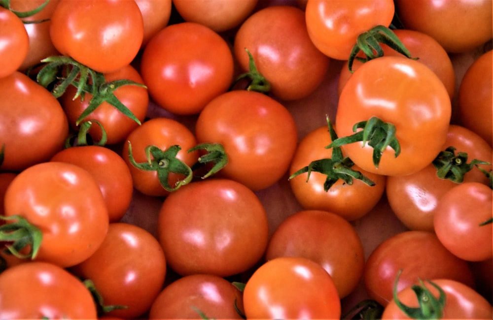 red tomatoes on white ceramic plate