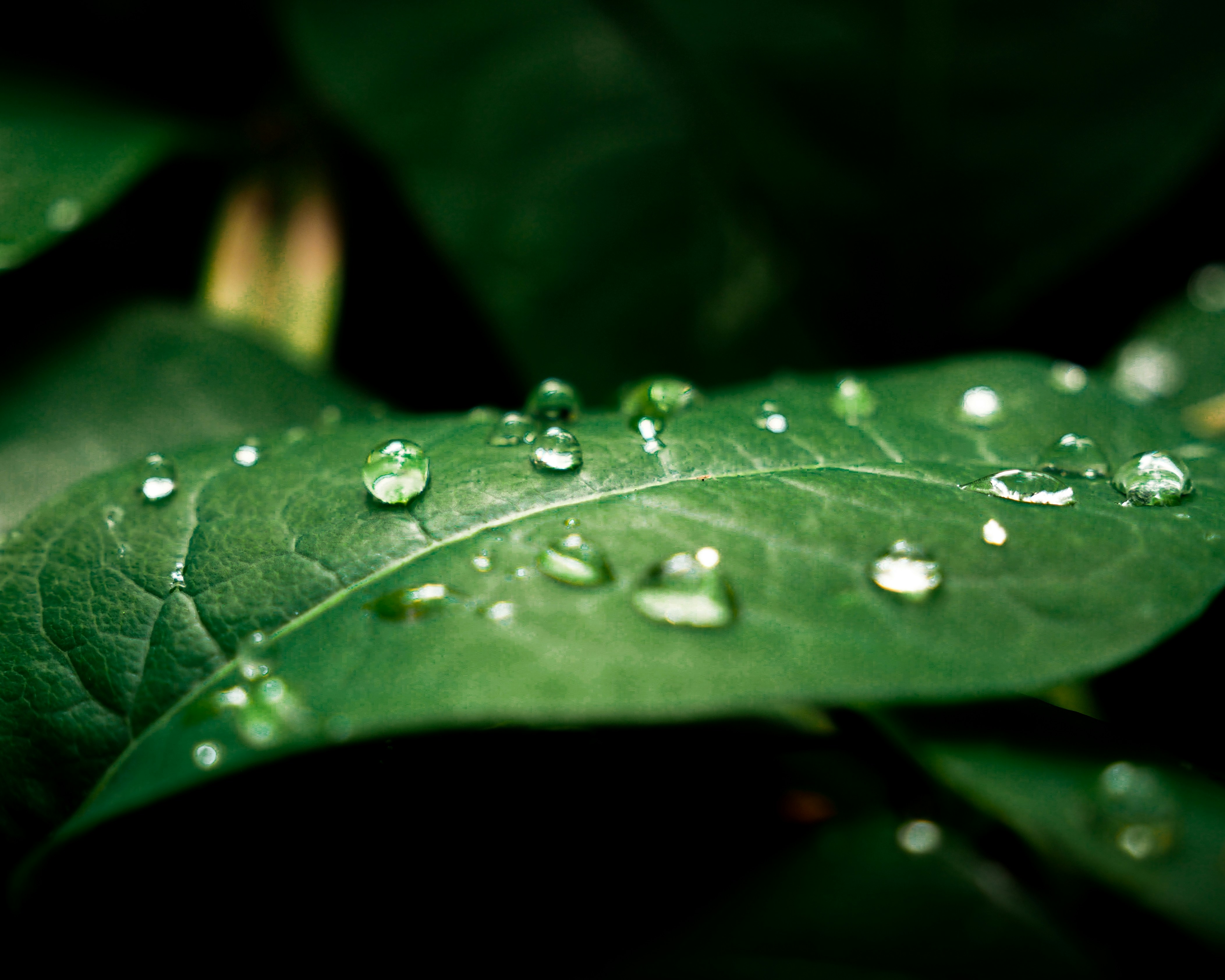 Photo by rasmusandersen93