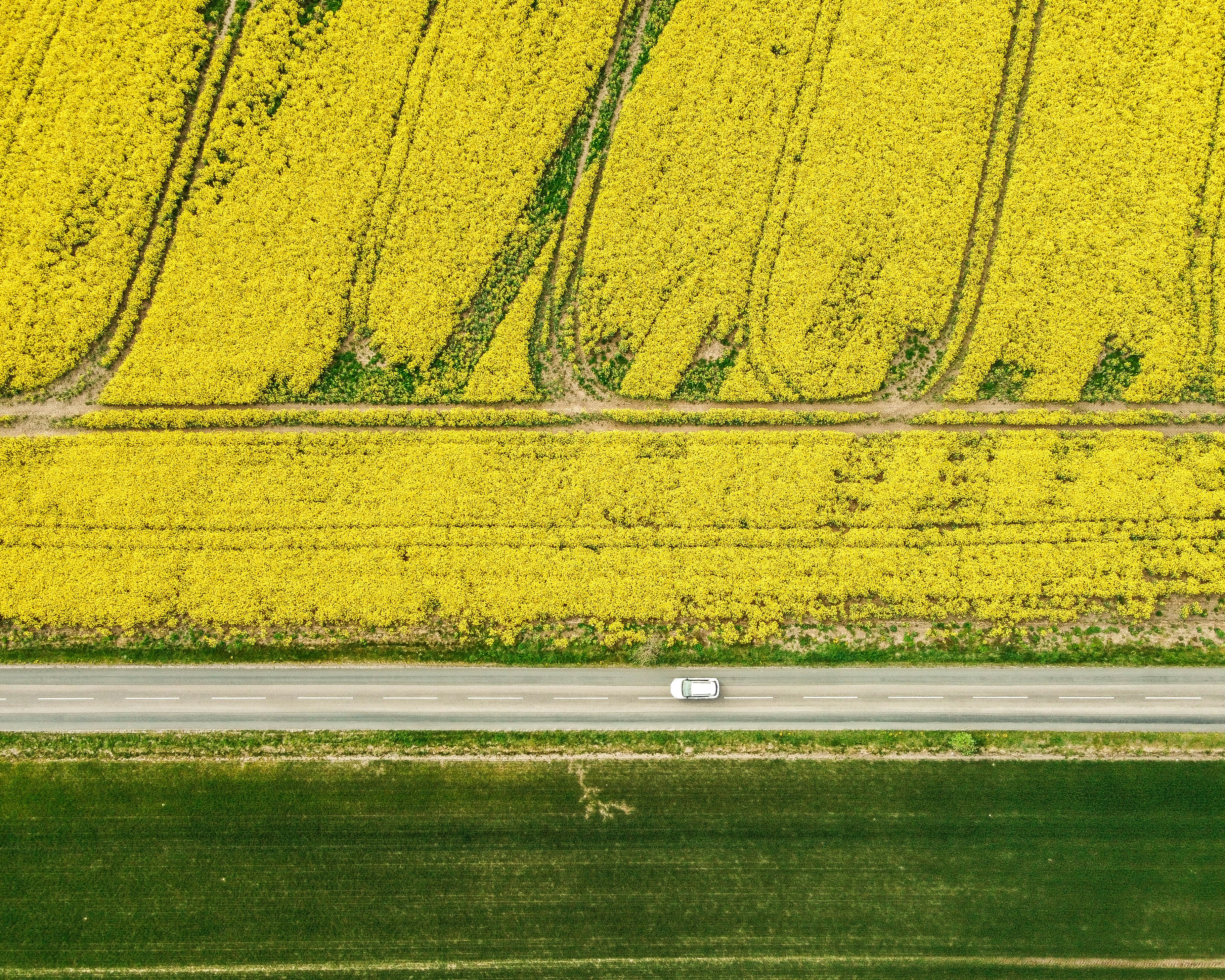 Photo by rasmusandersen93