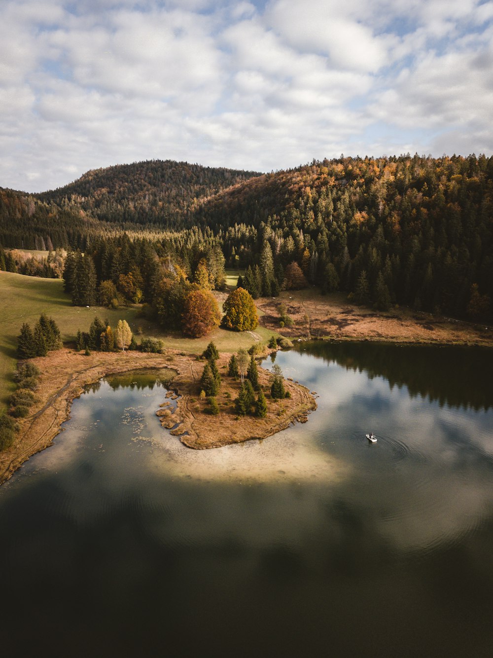 green trees and brown mountains