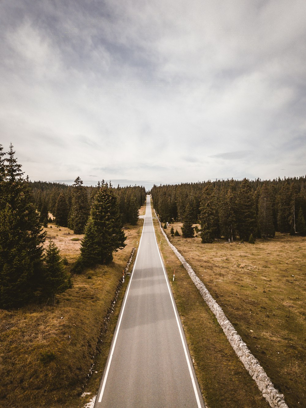 gray concrete road between green trees under white sky during daytime