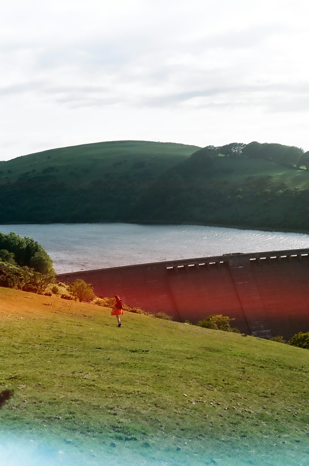 people standing on green grass field near body of water during daytime