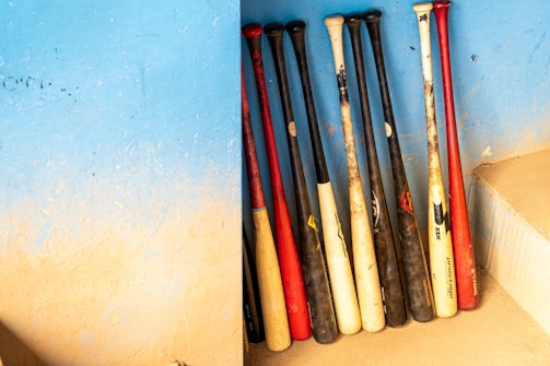 A vibrant display of baseball gear including bats and gloves.