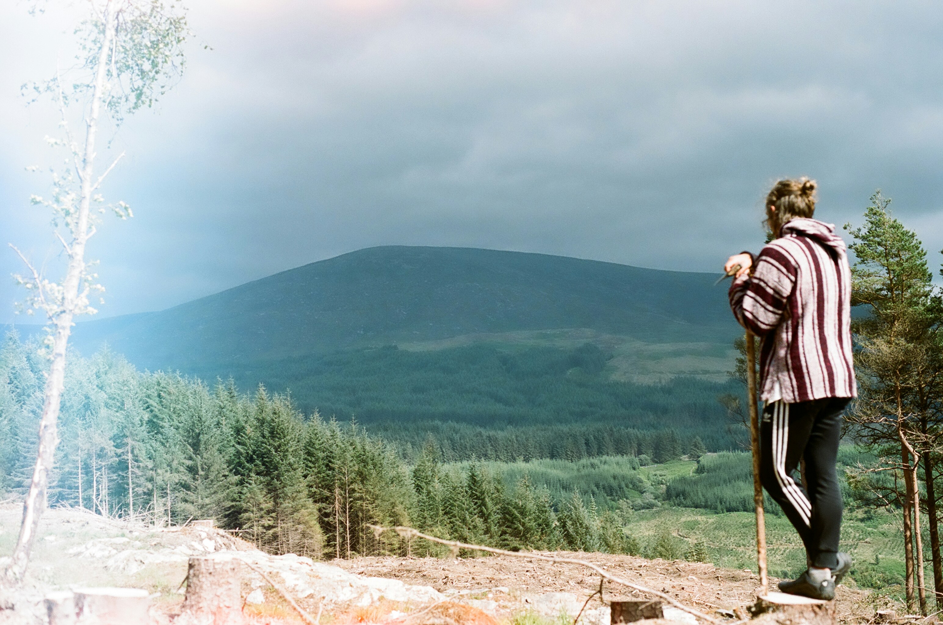 30 Most Hilarious Statler and Waldorf Quotes Ever — Savage