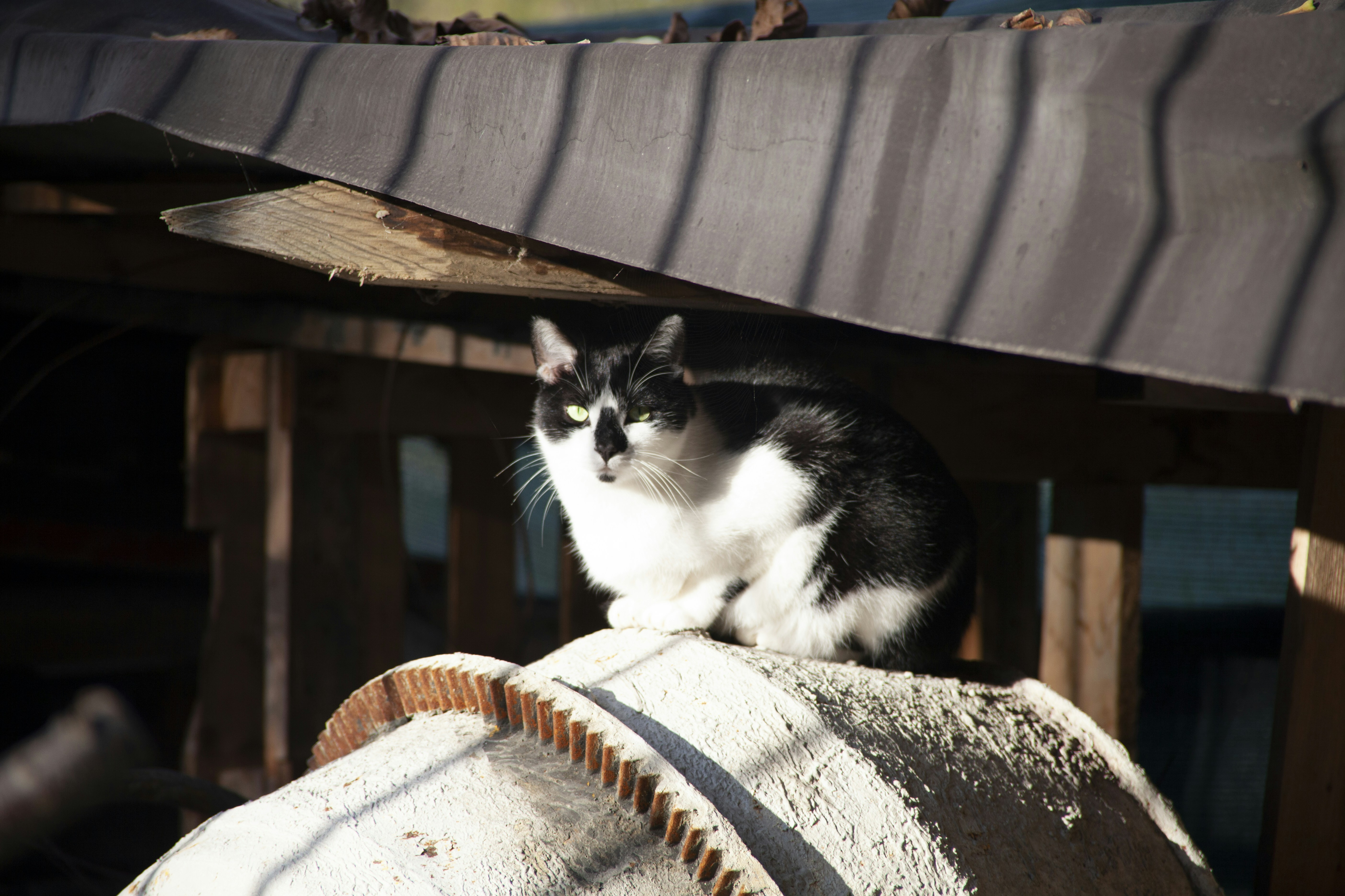 Photo by mmichelini63