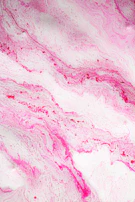 Quartz slab showcasing soft blush hues with delicate marbling, bringing a gentle touch to surfaces.