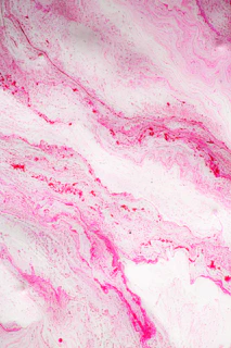 Quartz slab showcasing soft blush hues with delicate marbling, bringing a gentle touch to surfaces.