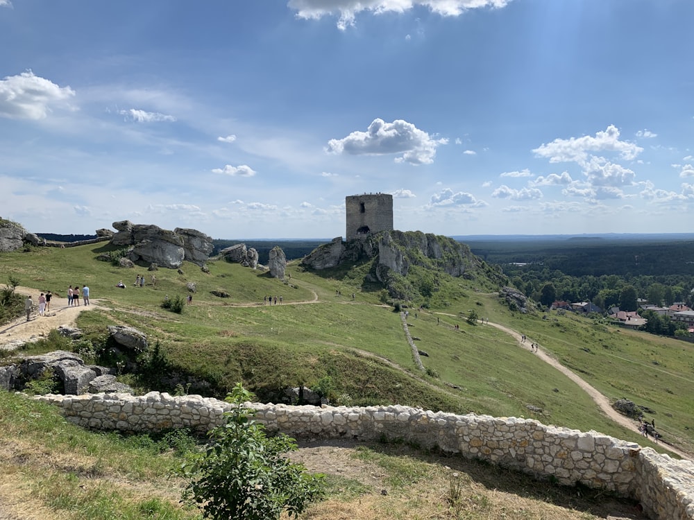 campo di erba verde vicino allo specchio d'acqua sotto il cielo blu durante il giorno