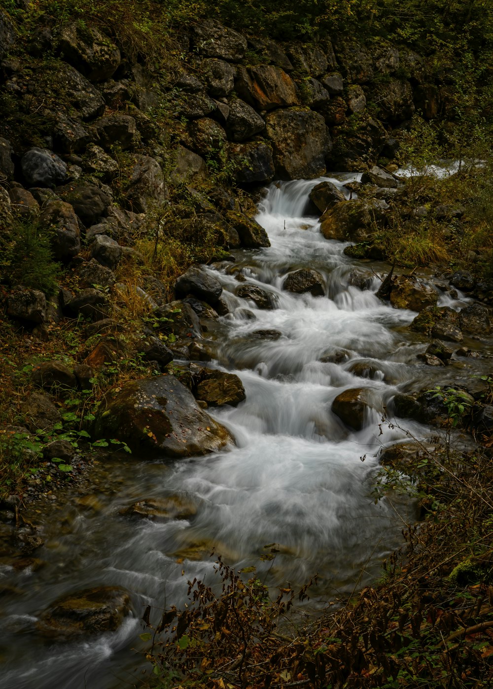 water falls on brown and green grass