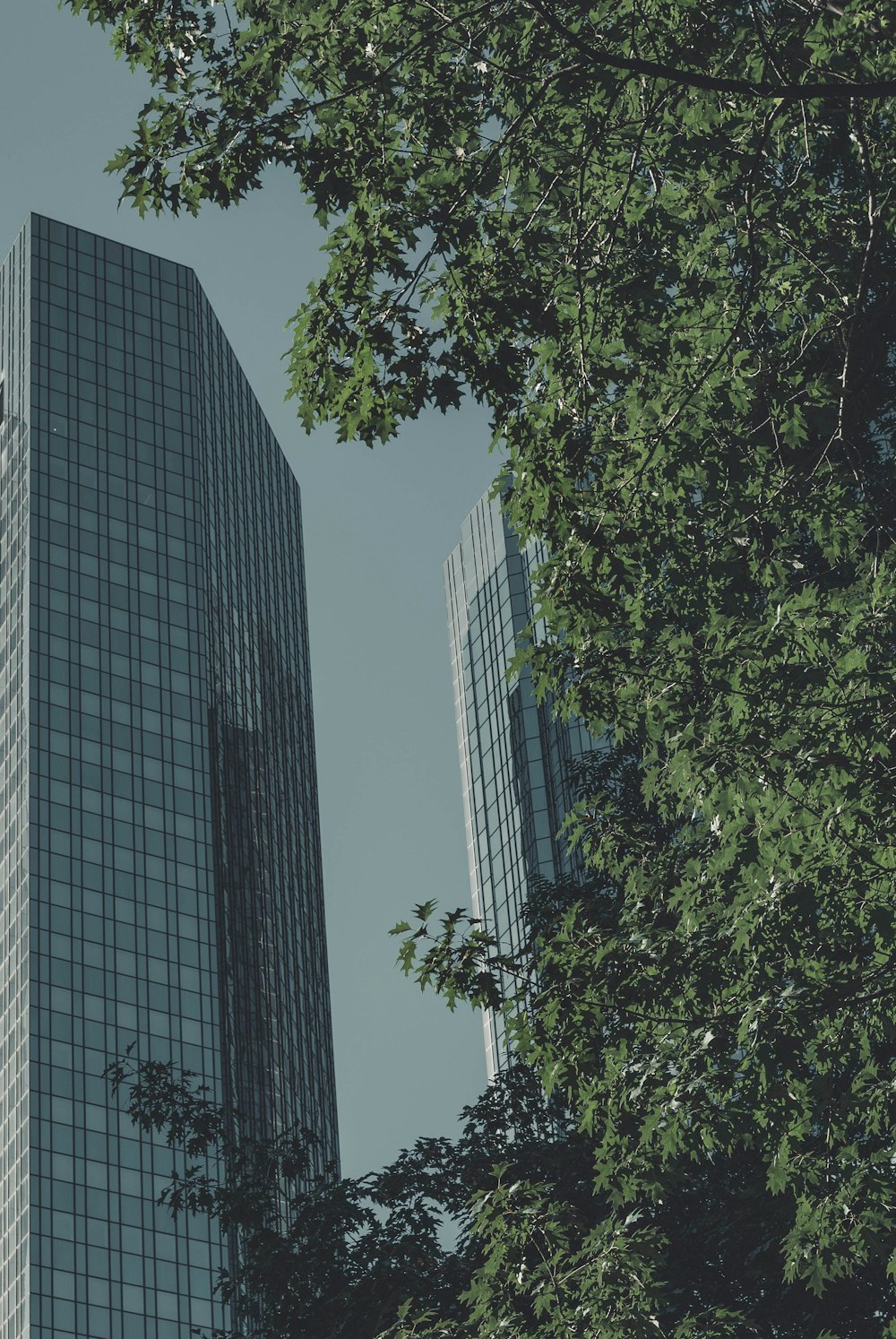 green trees near high rise building during daytime