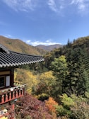A serene view of a traditional Korean temple surrounded by autumn foliage.