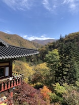 A traditional Asian temple roof with intricate designs overlooks a lush, vibrant landscape. The scene is filled with autumn foliage, showcasing a mix of green, yellow, and red leaves. In the background, gentle rolling hills under a partly cloudy sky complete the serene atmosphere.