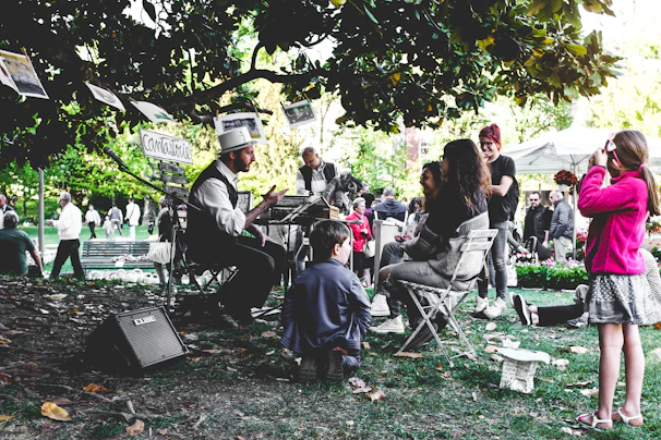 people sitting on chairs under tree during daytime
