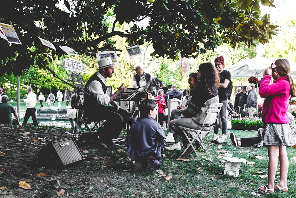 people sitting on chairs under tree during daytime