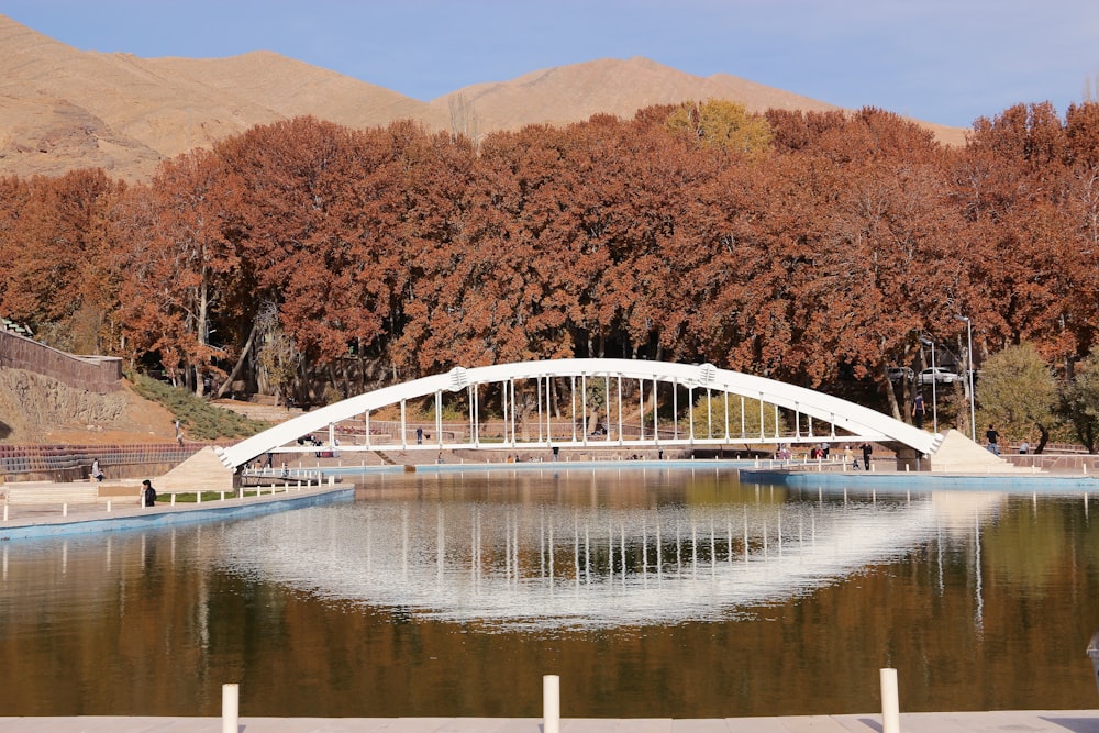 white and blue bridge over river