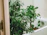 A cozy bathroom setting featuring green moss towel set neatly arranged next to a small plant.