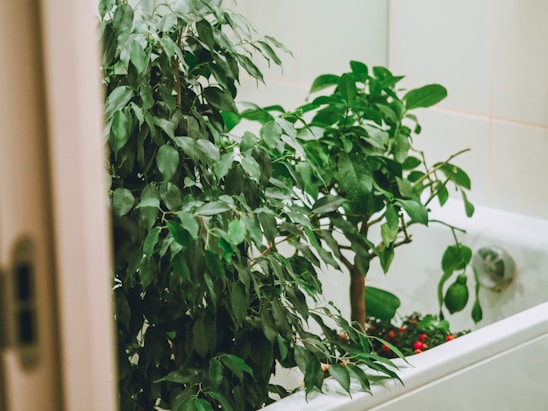 A serene spa-like bathroom with soft lighting, natural wood accents, and lush green plants.