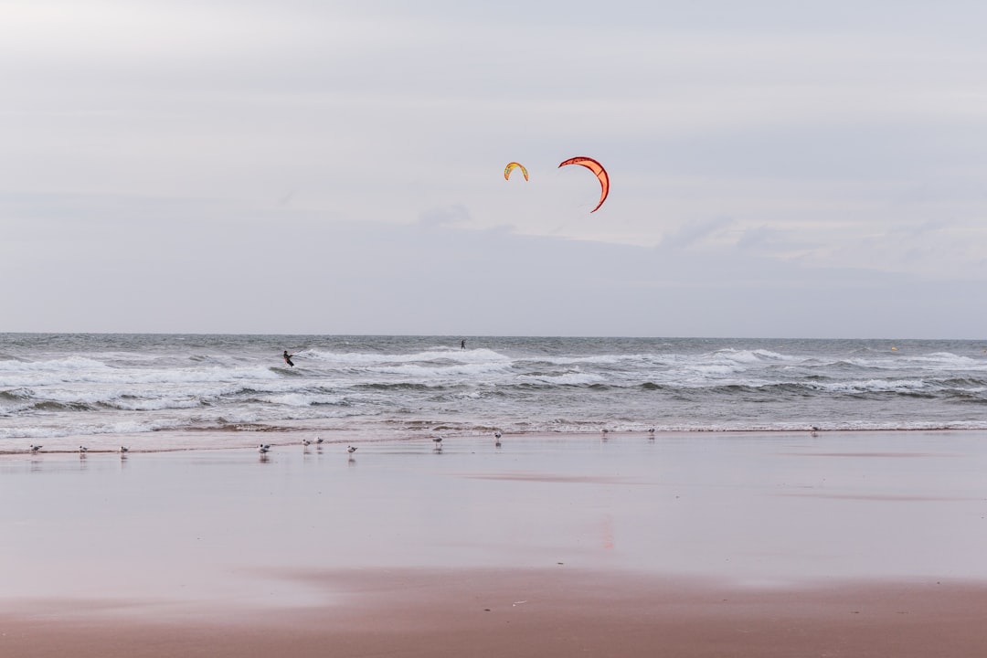 people on beach during daytime