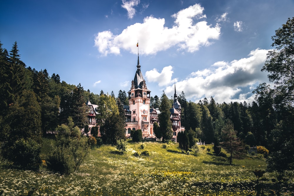 white and blue castle surrounded by green trees under blue sky during daytime