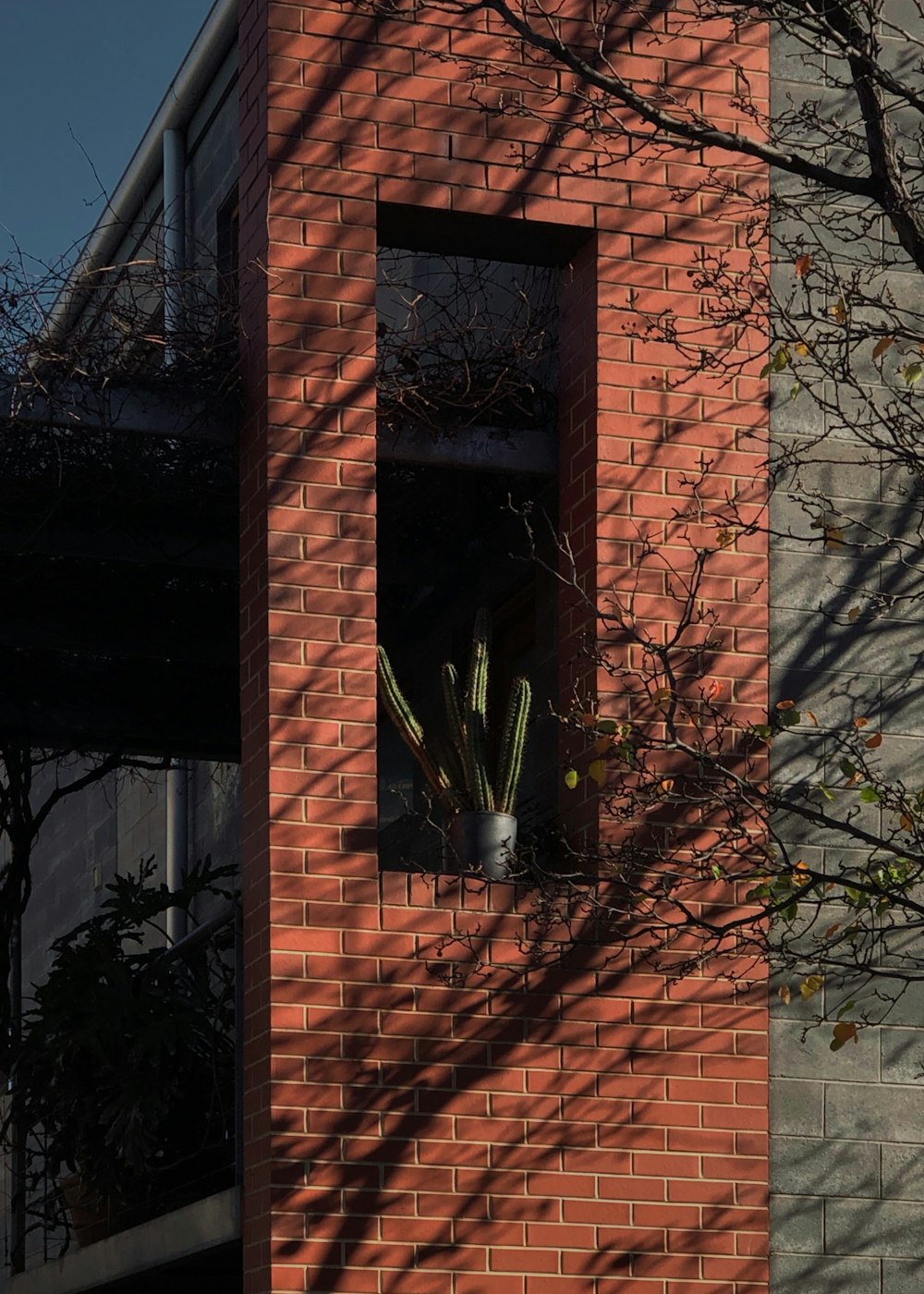 brown brick building with green plants