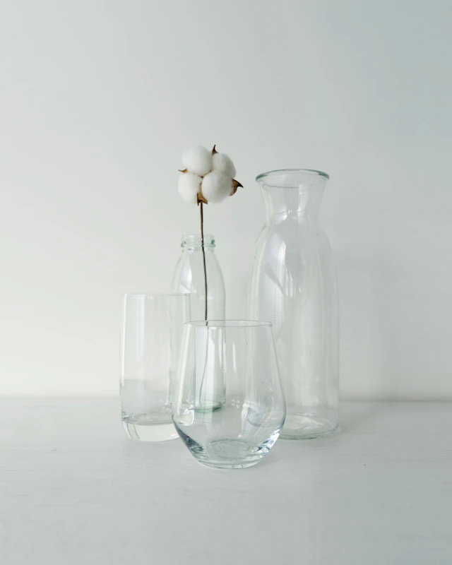 Clear glass carafe and tumbler