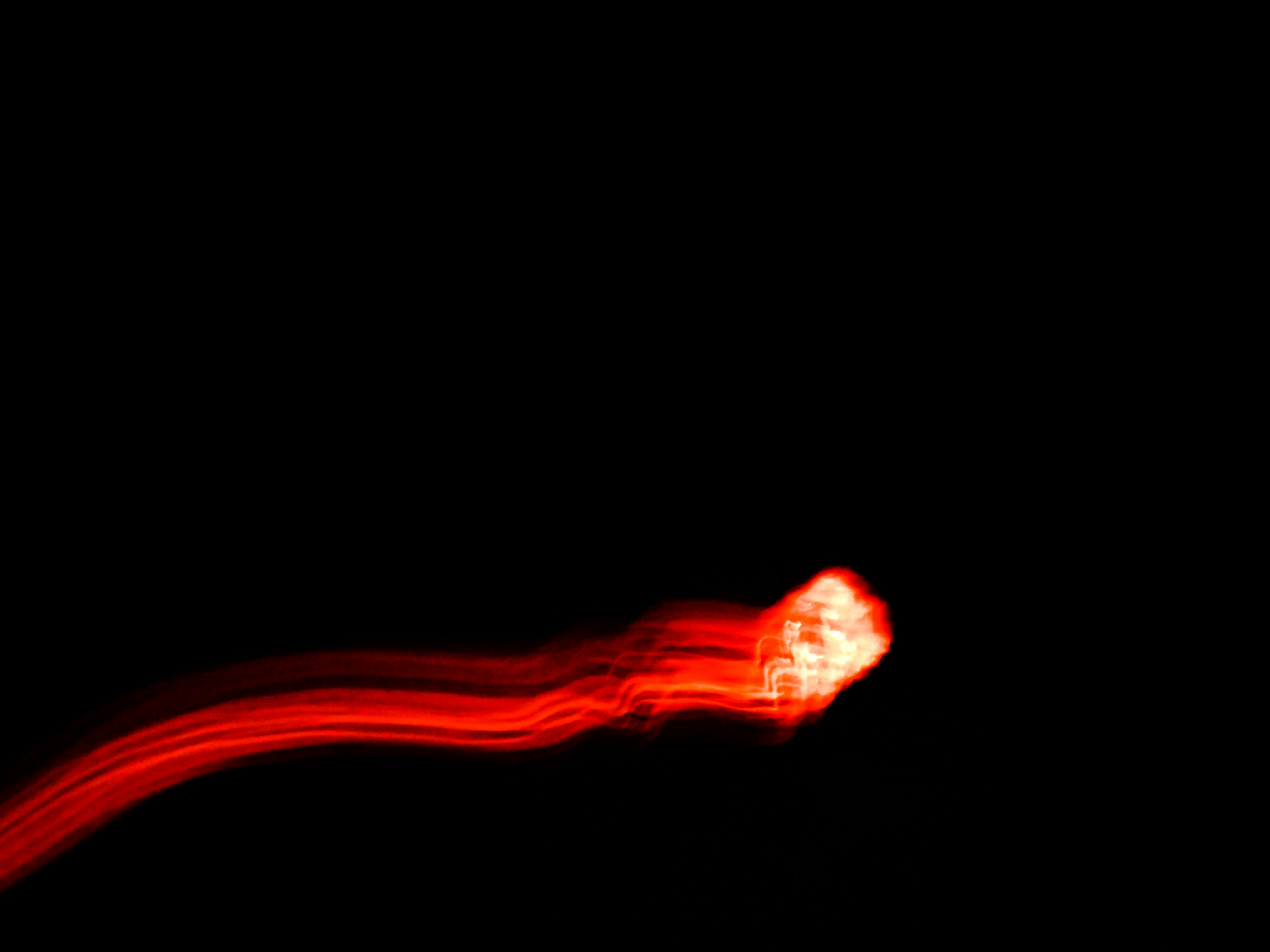 Photo by ellymurrrrr