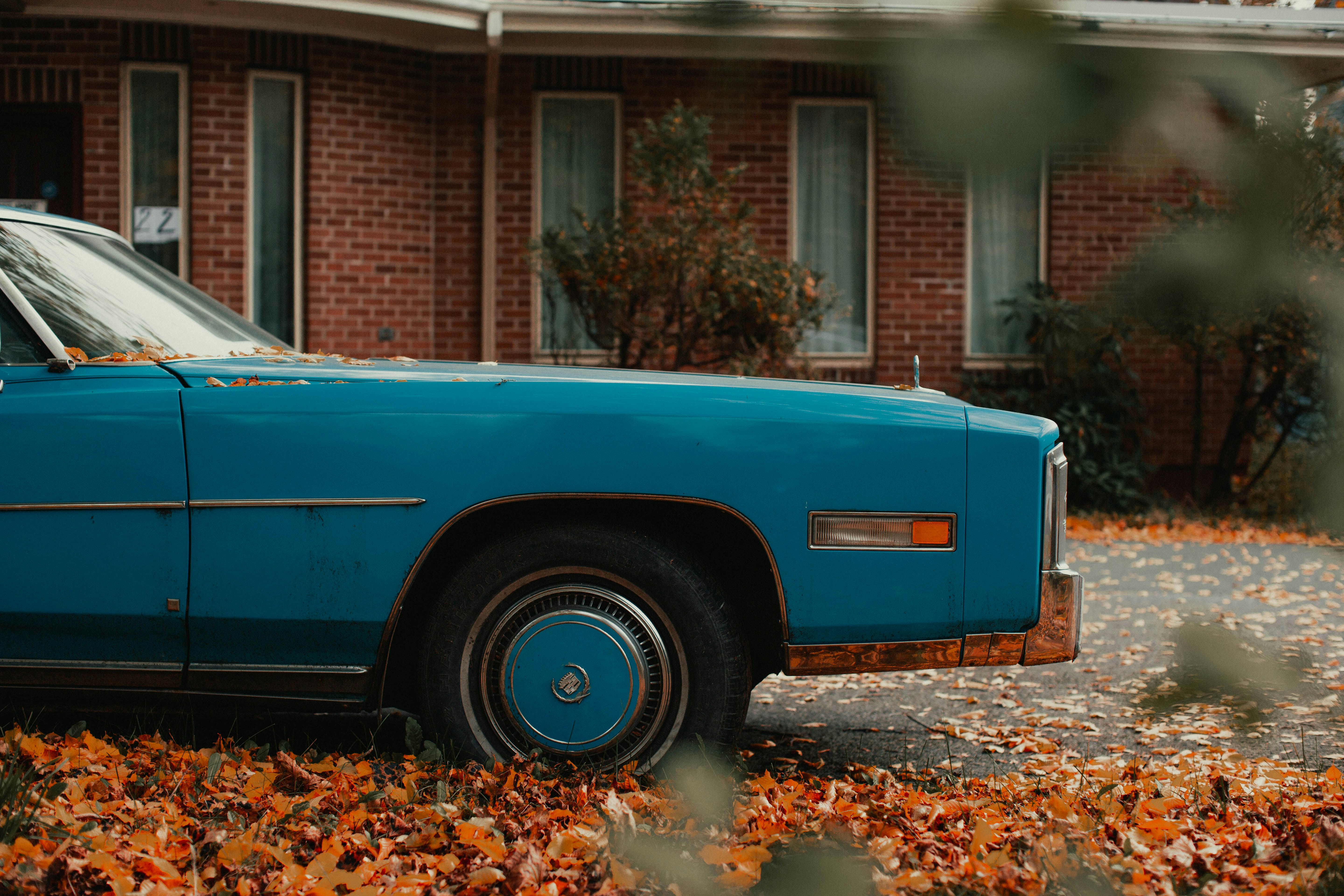 Photo by theshuttervision