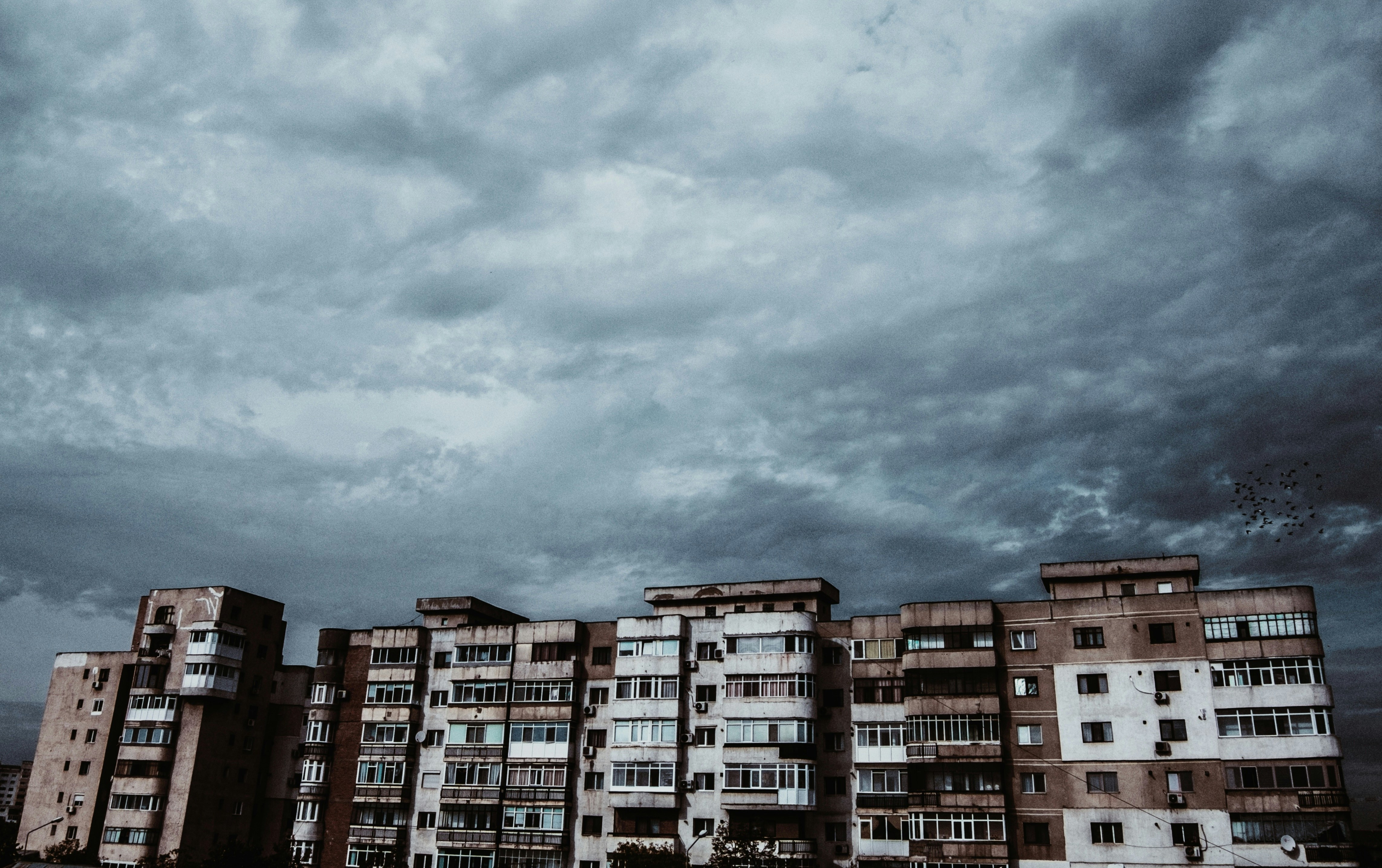 Photo by mihai14
