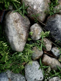 A peaceful outdoor space with lush green plants and stones.