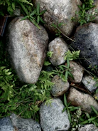 Natural stone garden with a mix of andesite and palimanan stones creating a serene outdoor space.