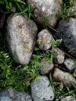 A tranquil garden featuring various stones for landscaping.
