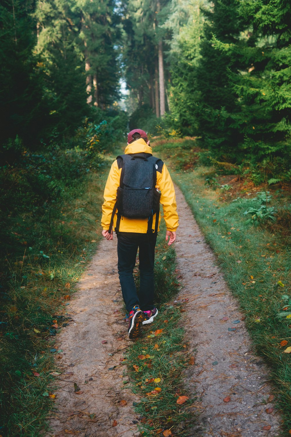 person in yellow jacket walking on pathway