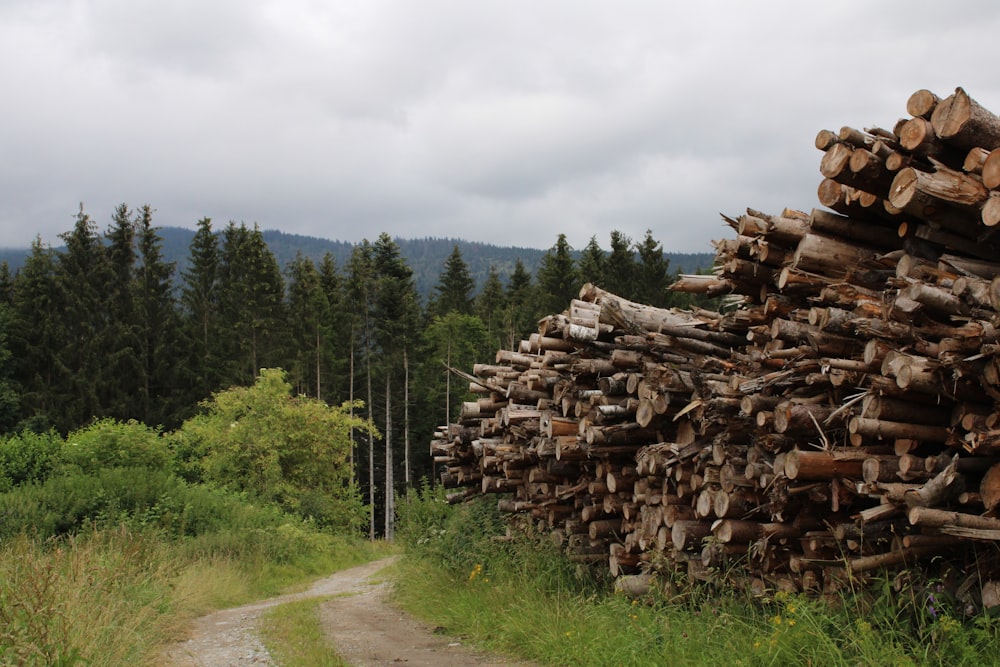 brown wood logs on road during daytime