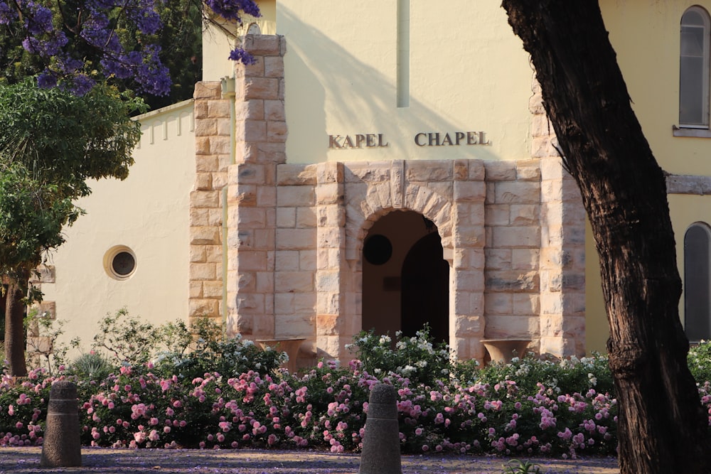 brown concrete building with purple flowers