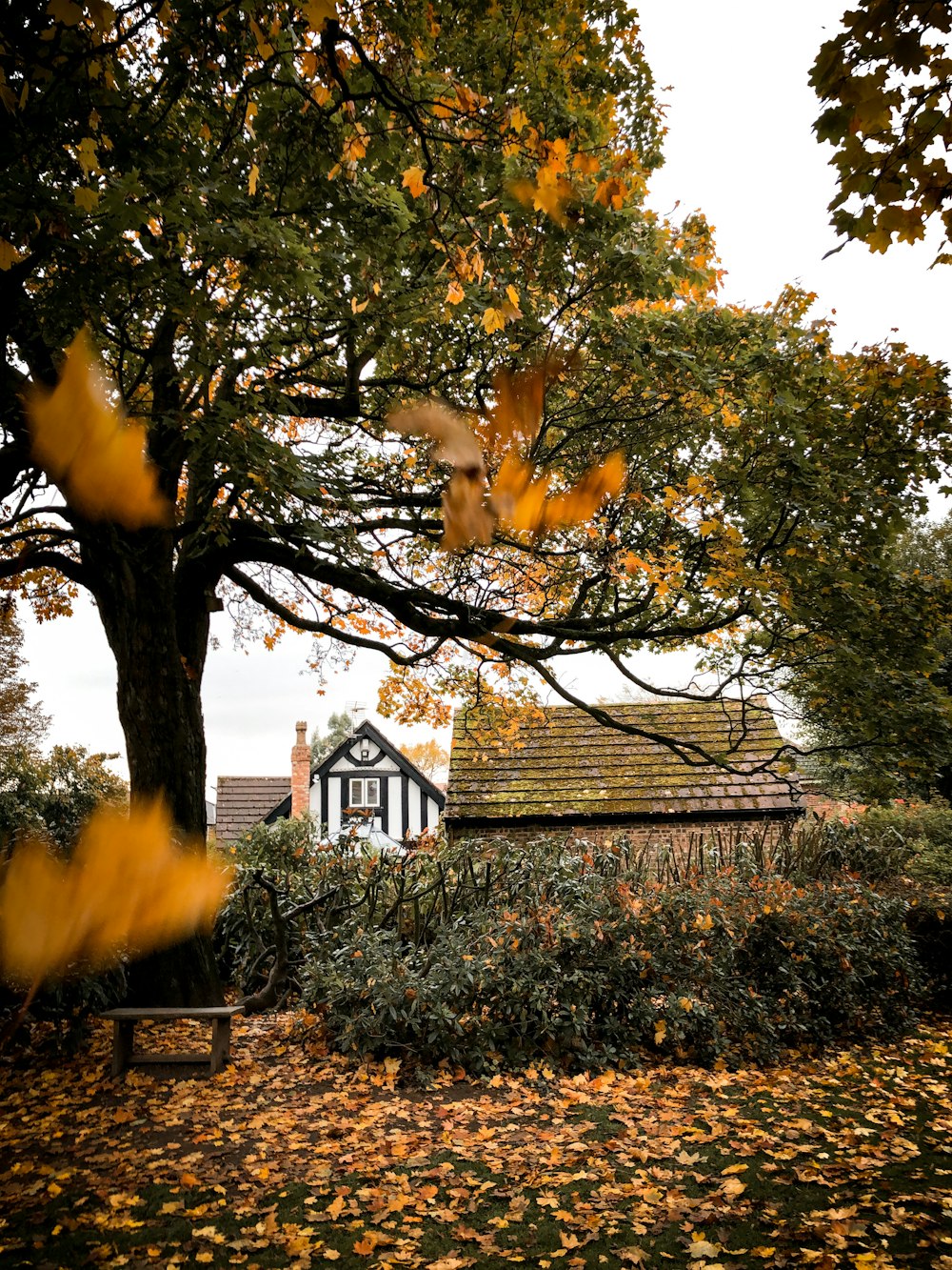 brown wooden house near green trees during daytime