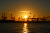 Evening view of Sharjah Port with cranes silhouetted against the sunset.