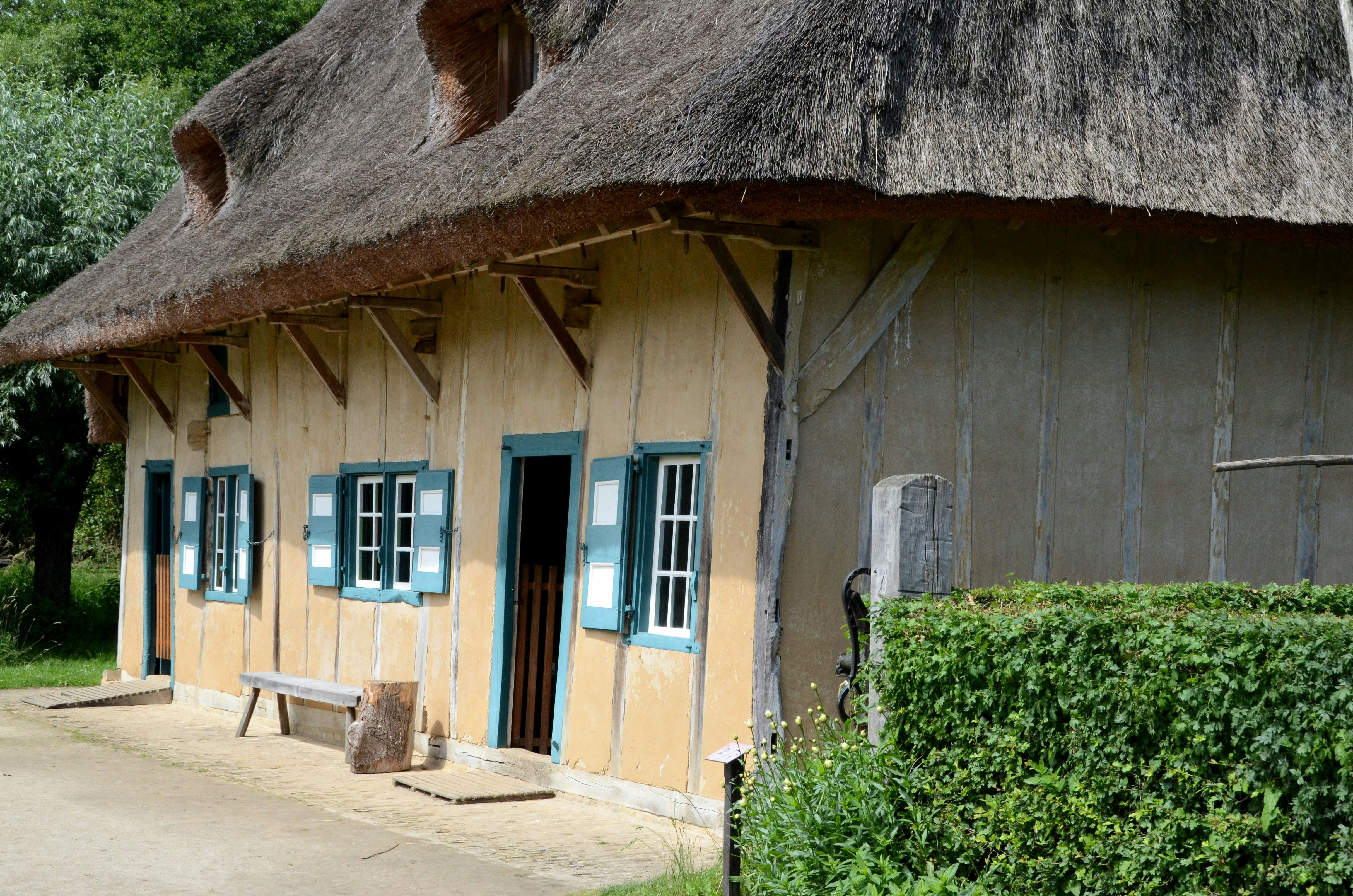 brown and white concrete house